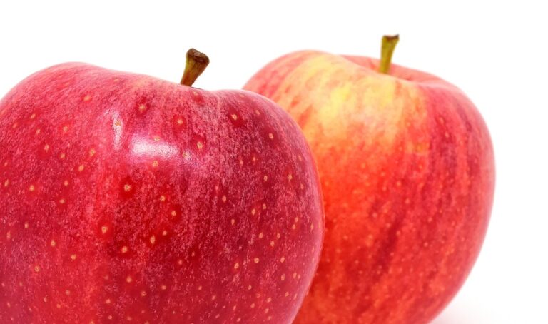 Understanding the Benefits of Plant-Based Diets for Weight Loss