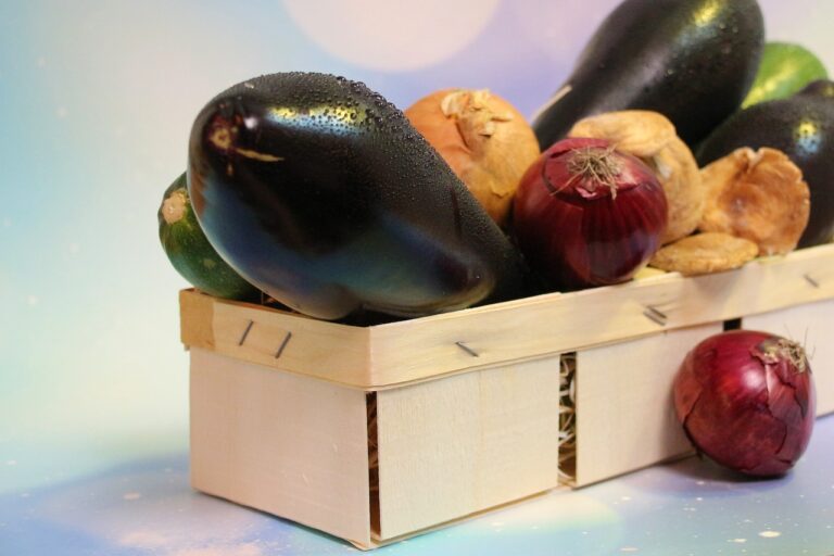 The Role of Cricket Umpires and Match Officials