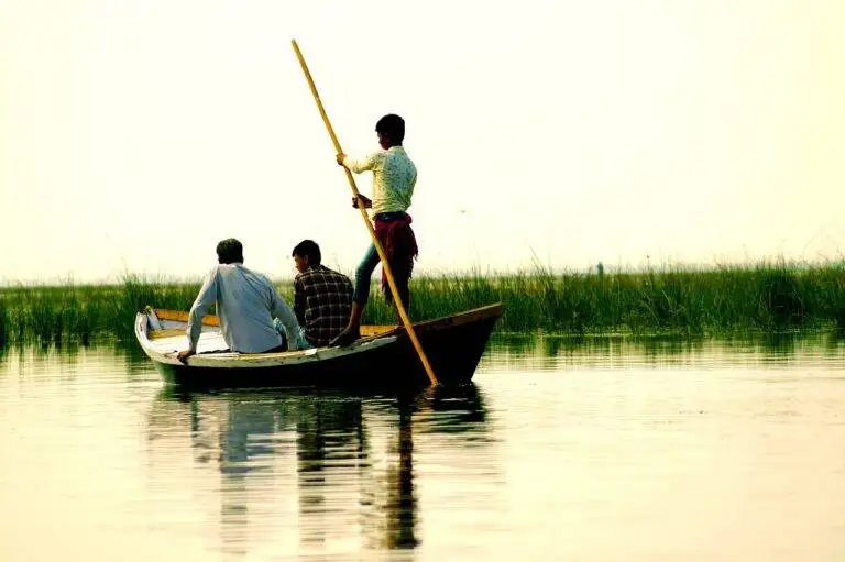 How Political Campaign Ads Influence Political Campaign Merchandise