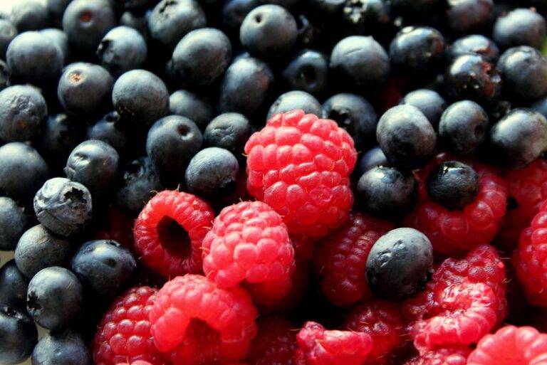 The Impact of Food Labeling on Consumer Awareness