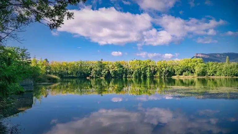 Wellness Retreats: The Ultimate Guide to Rejuvenating Getaways