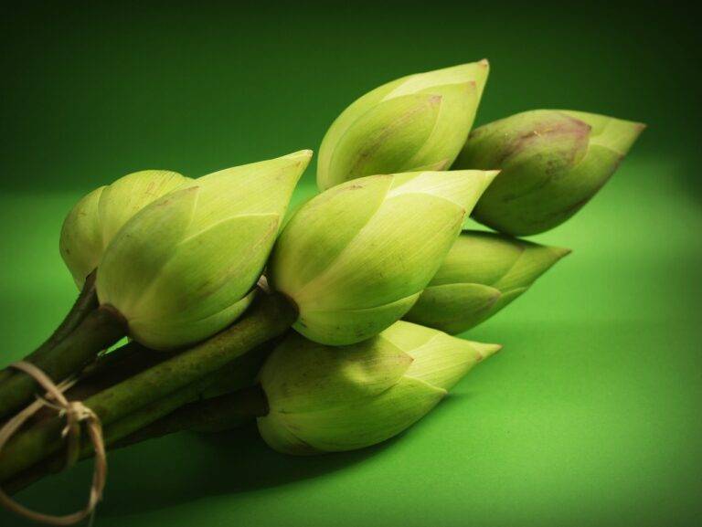 The Role of Political Campaign Strategists in Shaping Election Campaign Trends